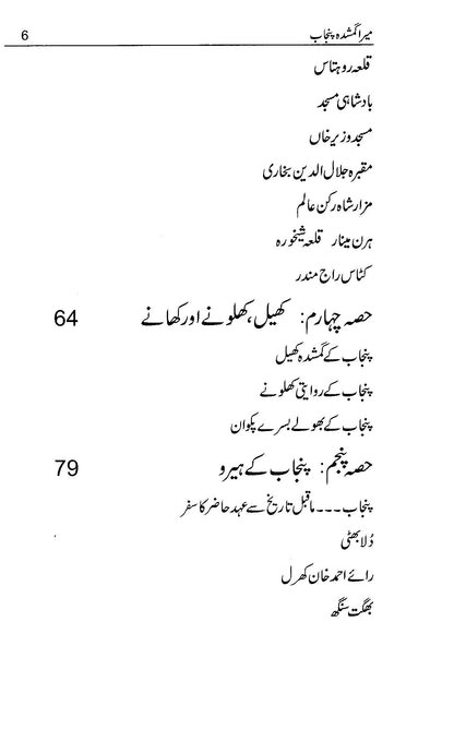 Mera Gumshuda Punjab - Ghulam Nabi Shakir