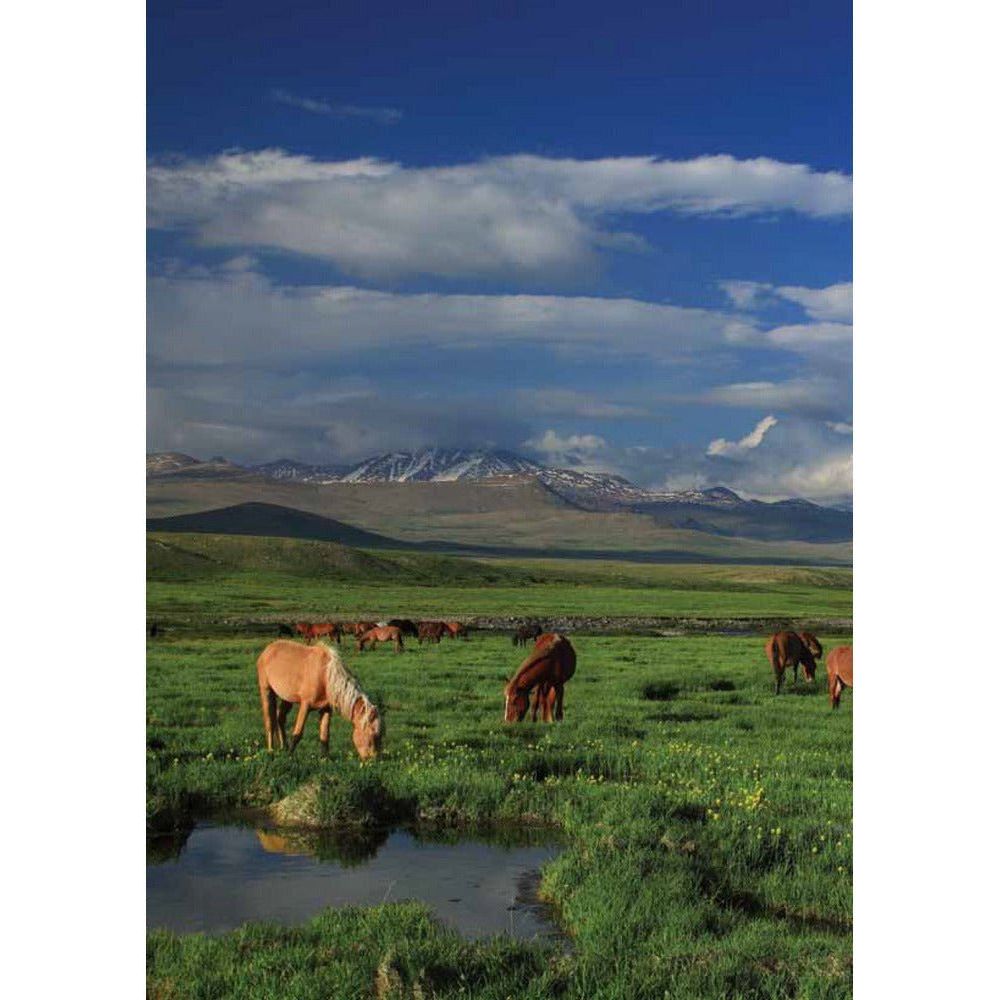 Deosai: Land Of The Giant  [English]