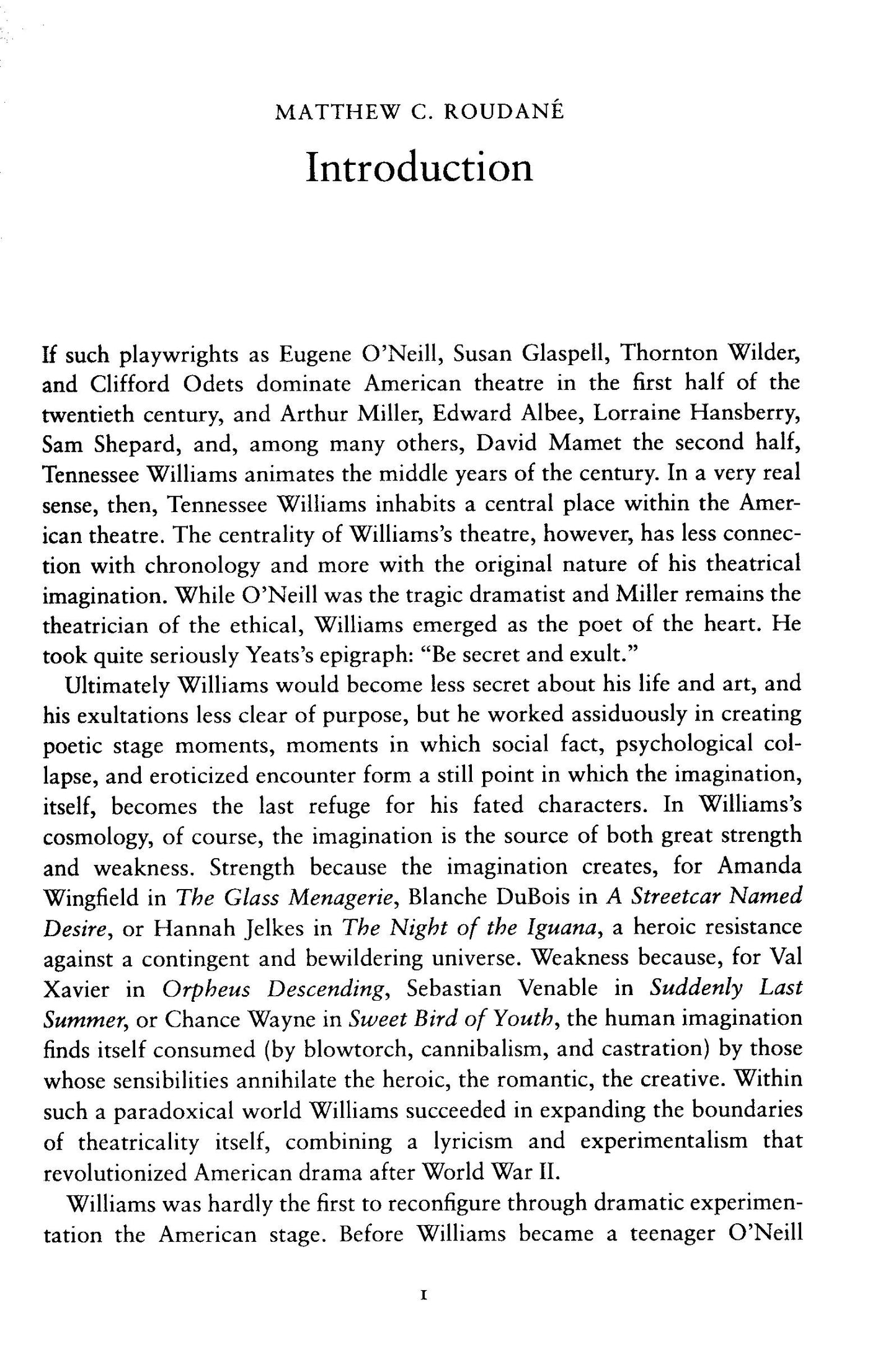 The Cambridge Companion To Tennessee Williams - Matthew C.Roudane[English]