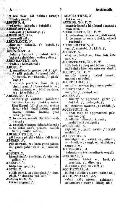 An English Punjabi Dictionary  [English]