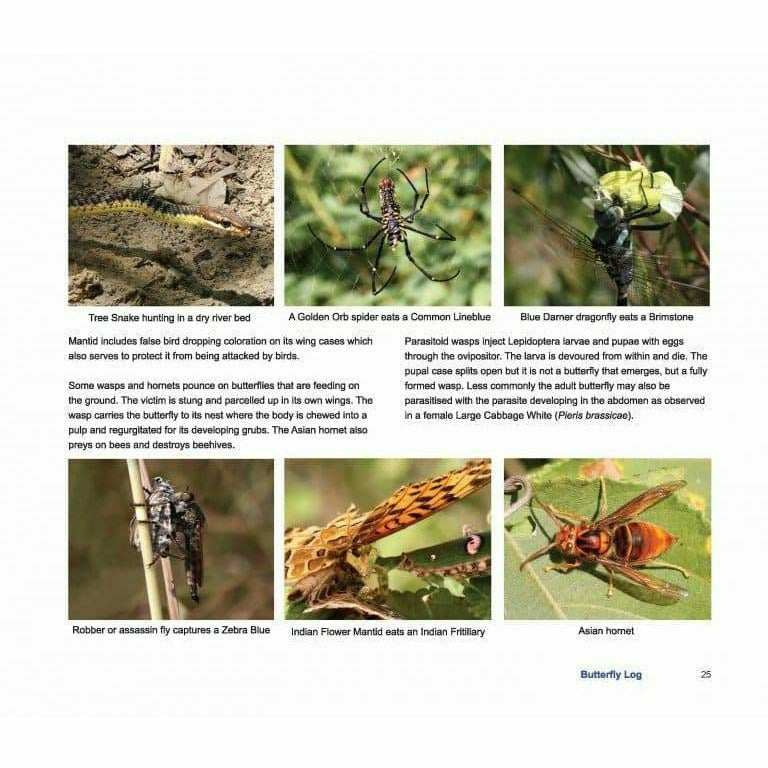 Butterfly Log: Margalla Hills National Park  [English]
