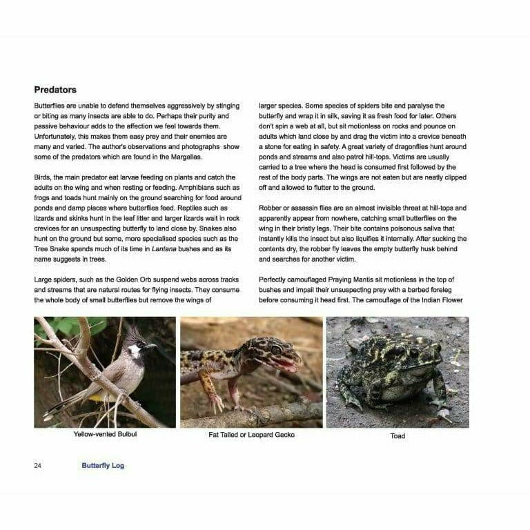 Butterfly Log: Margalla Hills National Park  [English]