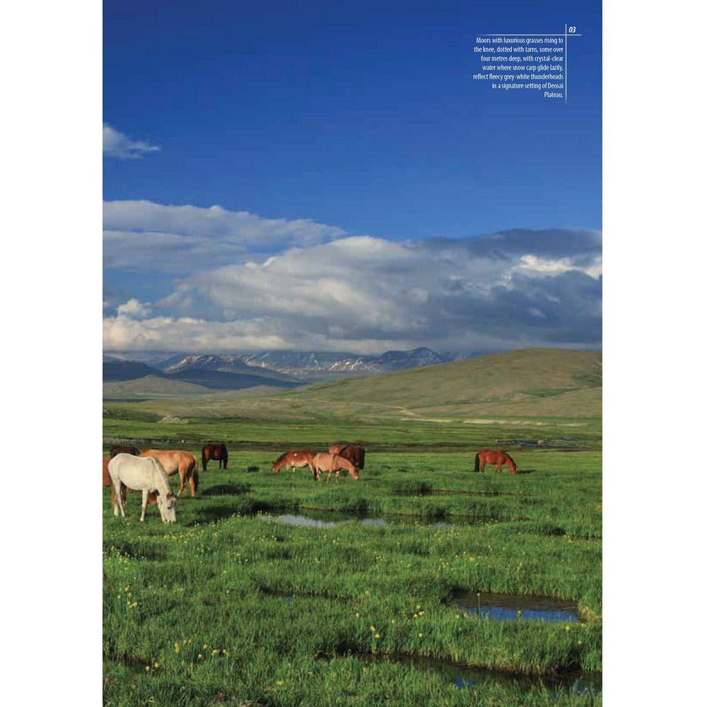 Deosai: Land Of The Giant [English]
