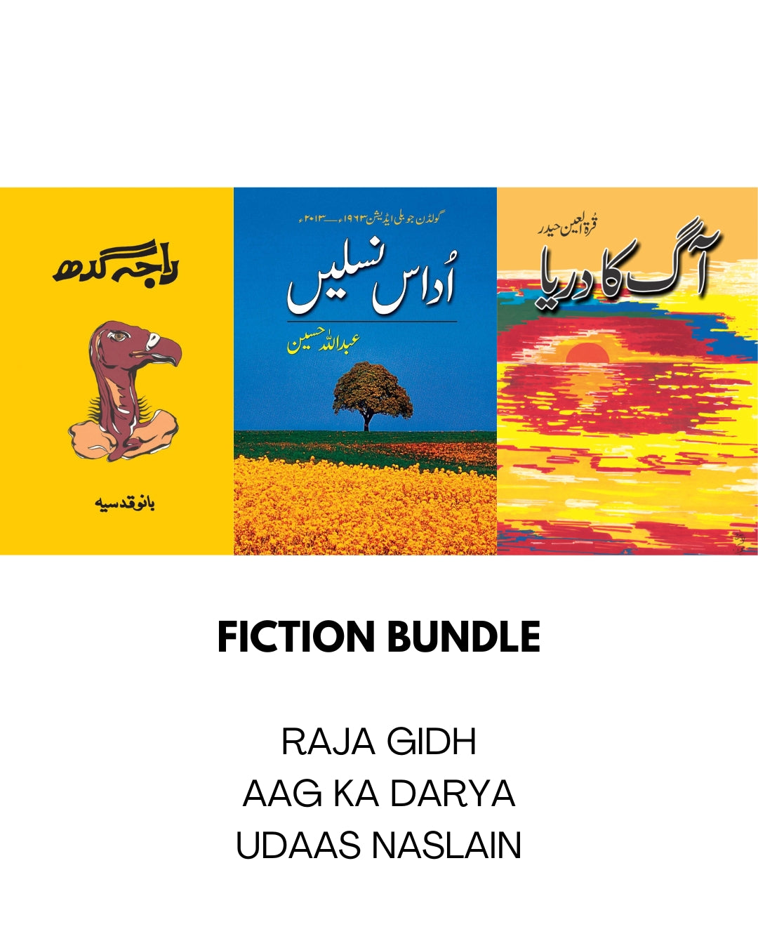 Raja Gidh, Udaas Naslein, Aag ka Darya (Fiction Bundle)