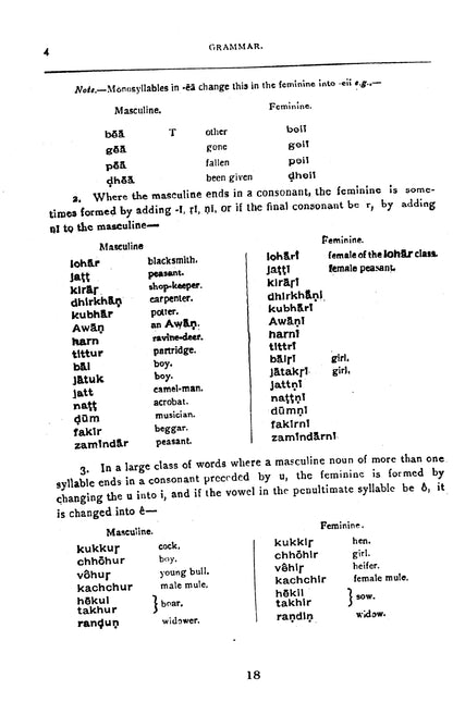 Grammar And Dictionary Of Western Panjabi  [English]