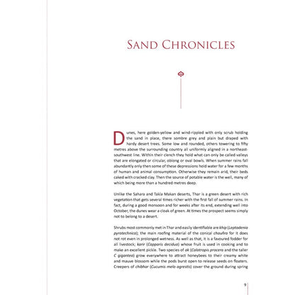 Mithi Whispers in the Sand [English]