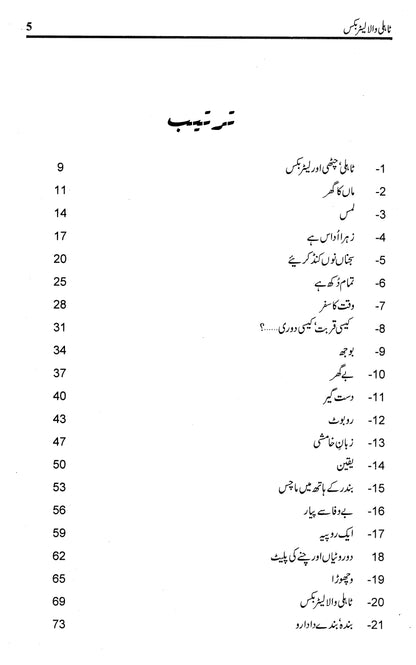 Tahli Wala Letter Box - Sajjad Jahania