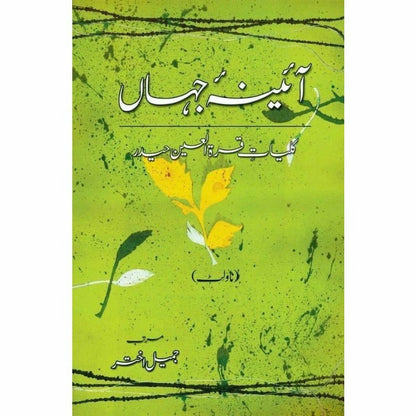 Kulliyaat-e-Quratulain Haider - Aaina-e-Jahaan (3) - Novelette