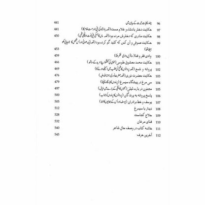 Mantiq ul Tair: Ik Raaz - e - Shanasai - Muhammad Saleem Sethi