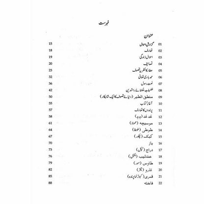 Mantiq ul Tair: Ik Raaz - e - Shanasai - Muhammad Saleem Sethi