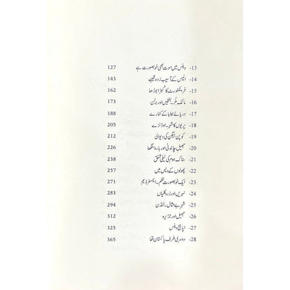 Niklay Teri Talash Mein (Sadequain Edition) - Mustansar Hussain Tarar