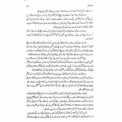 Raah - E - Rawaan